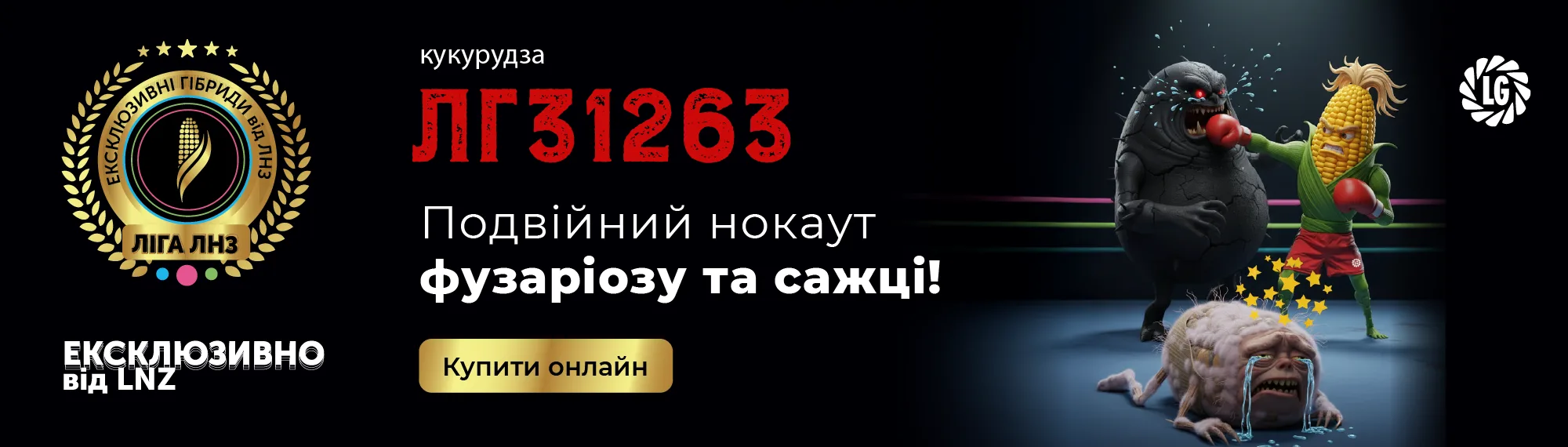lg31263