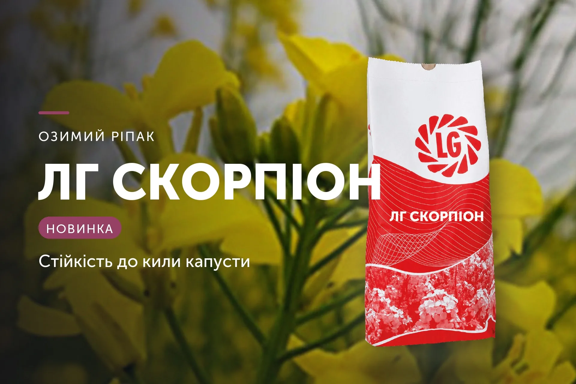 ЛГ Скорпіон — озимий ріпак Limagrain, ексклюзивно від LNZ