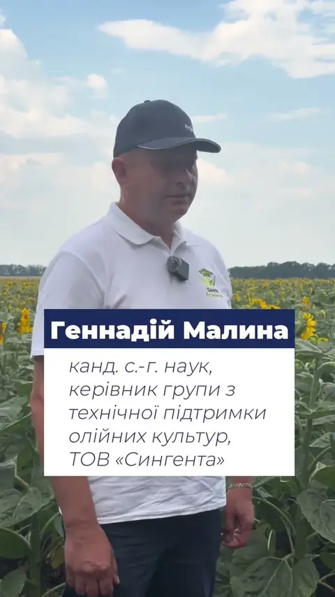 🌻 Що варто знати про НК Конді?