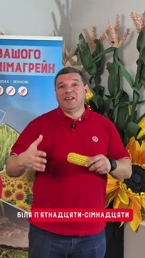 🌽 Шукаєте високоврожайний гібрид?Обирайте ЛГ31332 (ФАО 310) від LG Seeds Ukraine