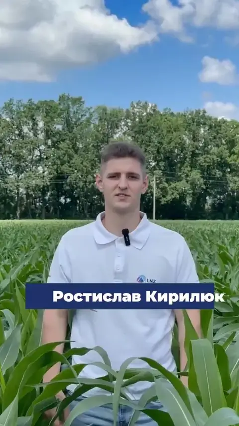 🌽 На LNZ Hub 9.0 висіяно ЛГ31262 від Limagrain Ростислав Кирилюк показує результати схеми захисту👇