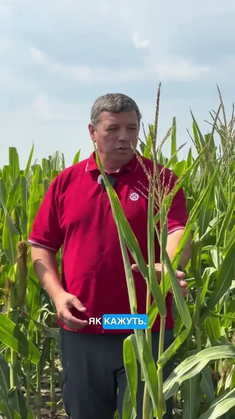 ЛГ31263 — відео з поля (28 серпня 2026)